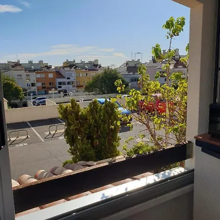 דירה La Desirade Centre Port Avec Parking *